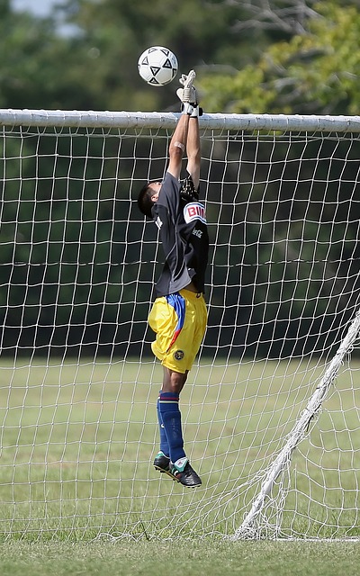 同时也意味 同时也意味